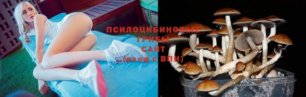 СК Баксан