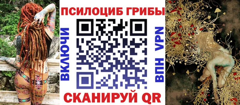 omg маркетплейс Сураж Галлюциногенные грибы мицелий